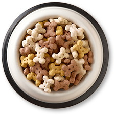 �÷�Ǯ�� ���